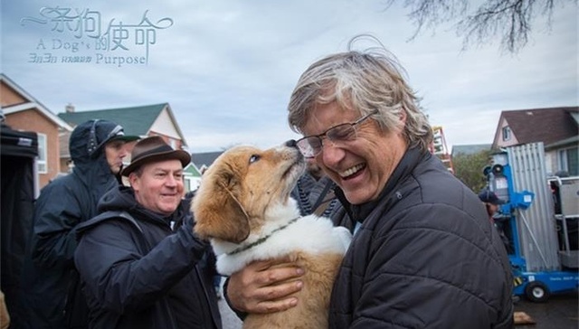 狗狗,导演,一条狗的使命,狗脸的岁月,狗生,不一样的天空,忠犬八公的故事,小狗,qiaoqiao,训
