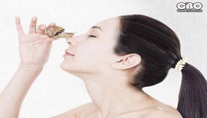 【JMedia】吃了浪费，“软黄金”蜗牛还是应该爬在脸上