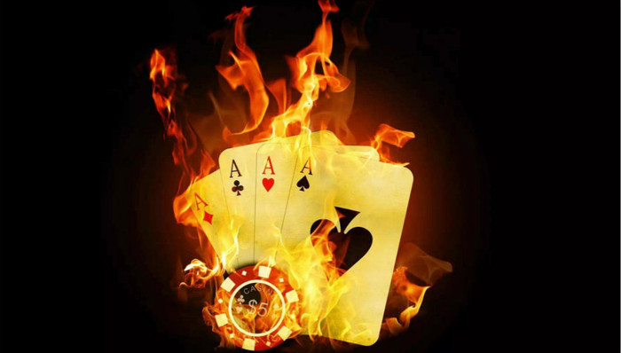 入局,胜率,乐视,创投,摊牌,选择基金,创业者,奇葩说,直聘,玩家