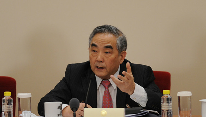 金融风险,杨凯生,政协委员