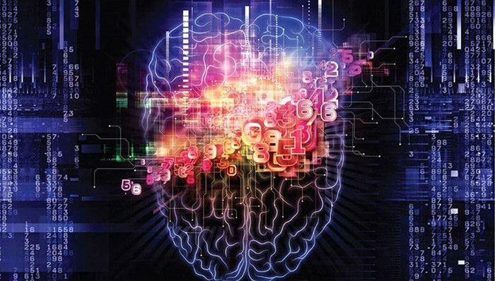 中国脑计划,重大项目,实施方案