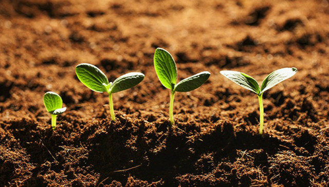 环境公益诉讼,社会组织,最高法