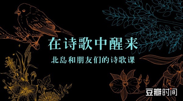 豆瓣,豆瓣时间,内容付费,文艺创业