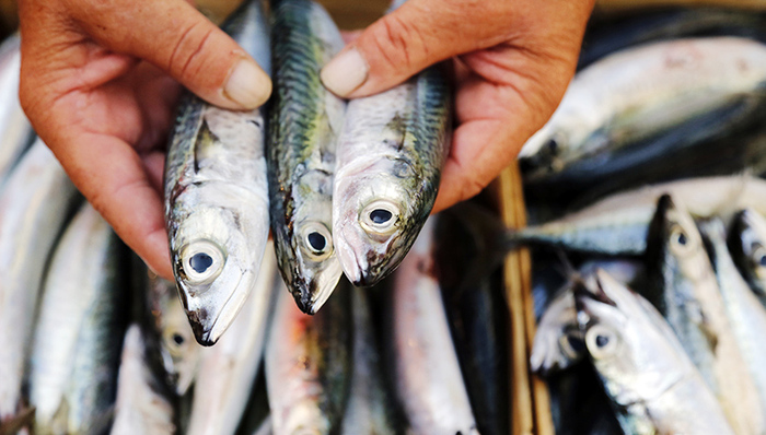 阿里巴巴,零售电商,生鲜电商,独家重磅