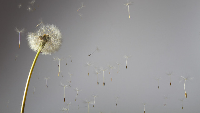 环保部,清洁空气,雾霾