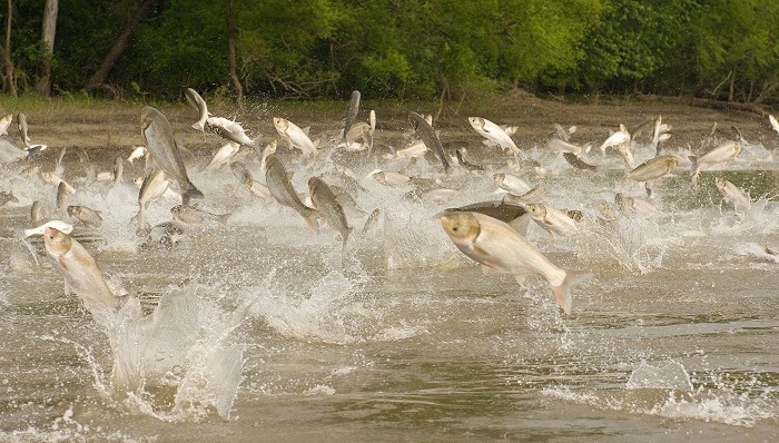 美国社会,天下故事