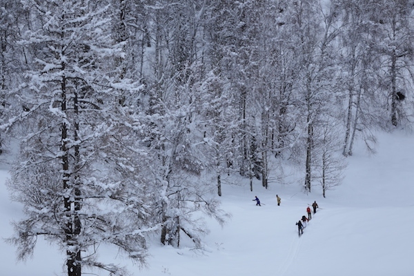 《阿勒泰野雪行记》是目前为止把北疆冬季拍得最野最美的户外短片
