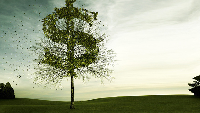 市场预期概率100% 美联储加息只差临门一脚？