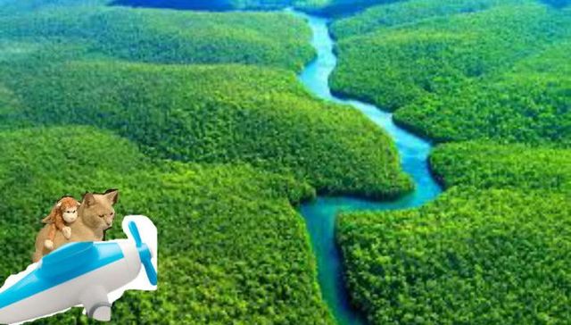 旅行,Photoshop,P图,猫