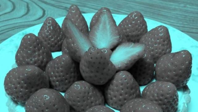 幻觉,色彩,心理学