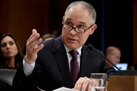 美国,环保部长,言论被批