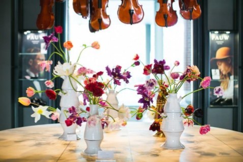 年年岁岁花相似？荷兰音乐学院酒店今年准备用私家培育的第8001种郁金香装饰酒店