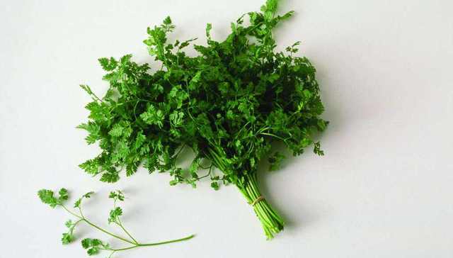 香菜明明是臭的啊