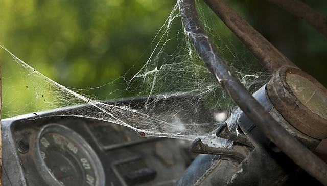 友友猝死：分时租赁前期靠钱撑 最终难逃悲剧
