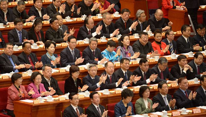 基层代表委员,两会声音