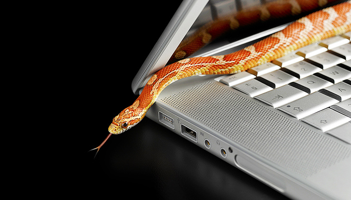 央视3·15晚会“第一弹”：曝光互动百科中文网站成虚假广告垃圾站