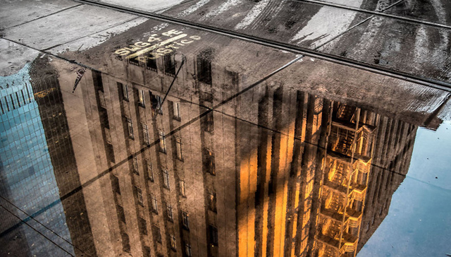 来看今年的索尼世界摄影大赛