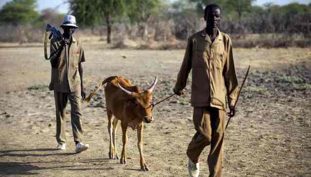 中国维和官兵成功营救七名联合国民事人员