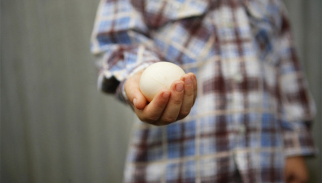 上海,史上最严,食品安全条例,正式实施