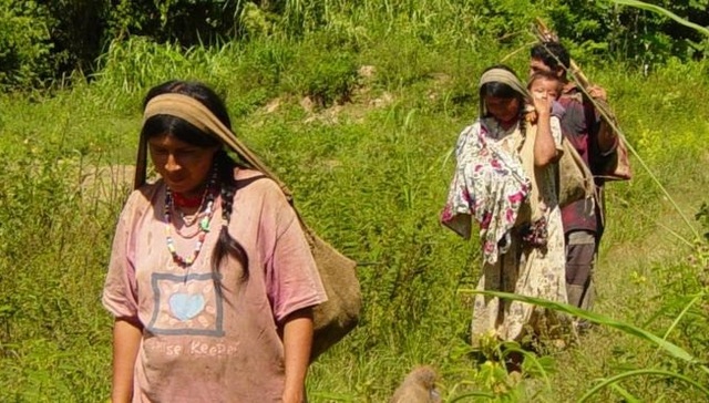 亚马逊,部落,最强心脏