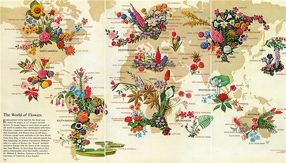 国家地理,科学新知