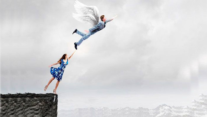 任菲,驱鸟器,驱鸟效果,真情,鸟击,鸟类,飞行区,春城,险情,国企管理