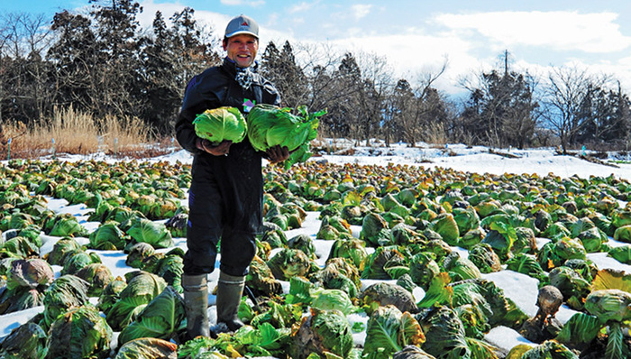 辐射,核污染,PX,微商,XX,泄漏事故,饮水安全,食品检测,工具栏,食品安全