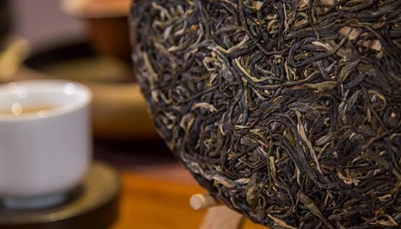 普洱,古树春茶，郑必能