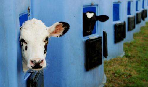 辉山乳业,上市公司