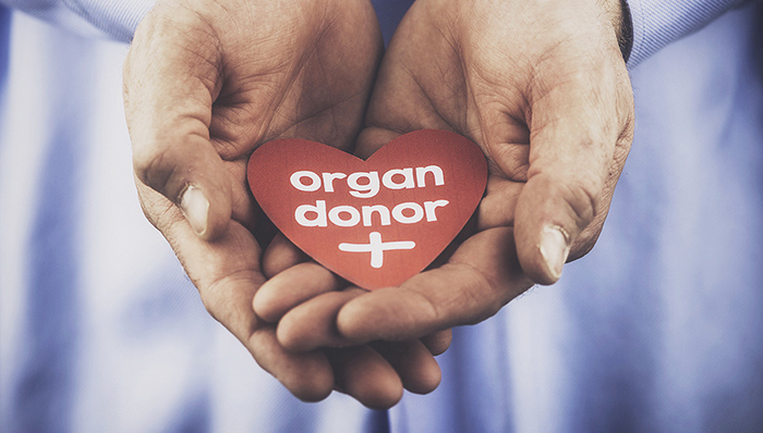 器官捐献,支付宝,器官移植,器官捐赠,中国,协调员,死刑犯,脑死亡,肺移植,培训机构
