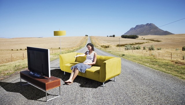 猫,巨蟒,沙发,奶牛,监狱,俄罗斯,美国,印尼