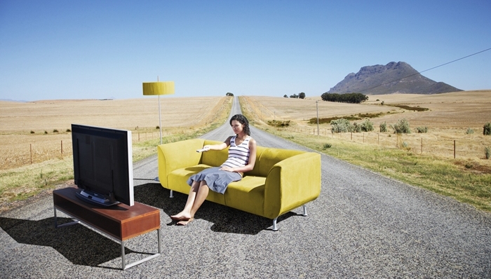 猫,巨蟒,沙发,奶牛,监狱,俄罗斯,美国,印尼