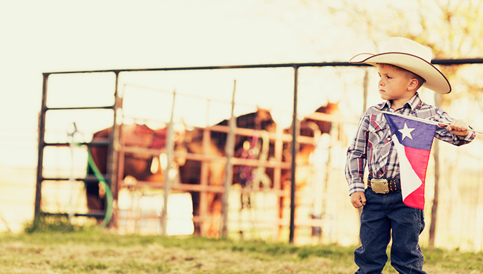 英国脱欧,特朗普