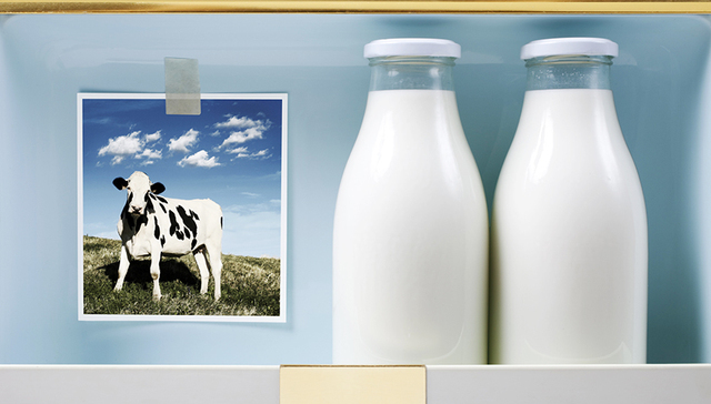 蒙牛收购辉山可能性有多大？