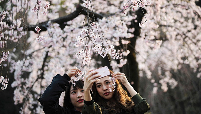 自驾游,清明节,旅游风向标