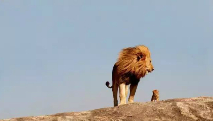 优酷土豆,视频网站,阿里巴巴,俞永福
