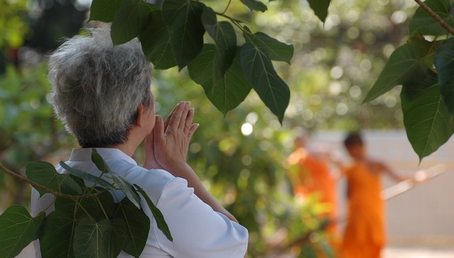 殡葬企业,生前契约,签约,清明节,福寿园,爱佑汇