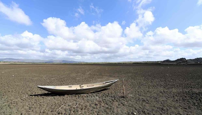 气候变化，世界气象组织，全球变暖，海平面上升