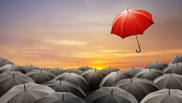 投资风向标,基金,股票型基金,中银基金,医药基金,量化基金