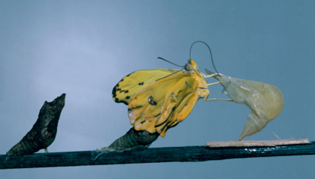 中国联通启动变革大幕 央企混改有望打响第一枪