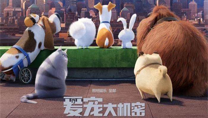 群主,Deadline,DWA,动画作品,好莱坞,愤怒的小鸟,动画大片,爱宠大机密,疯狂动物城,欢乐