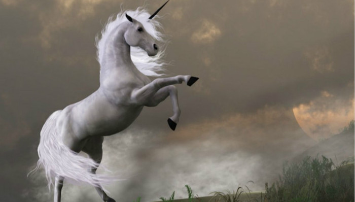 独角兽,Thiel,Medallia,Github,CounterACT,YC,Twitter,Se