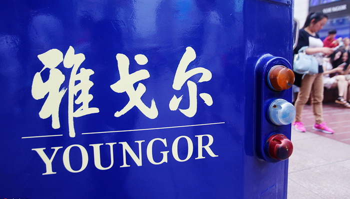 雅戈尔,上市公司,京东方,长江电力,限售股