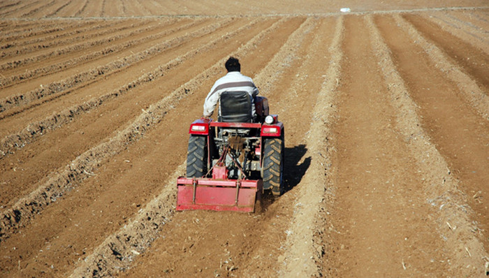 种粮大户,土地流转,种地,惠农政策,镰刀弯,中央一号文件,粮食直补,80后,90后,农村土地