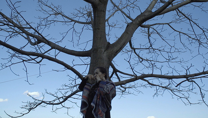 音乐,艺术,塔林图雅,内蒙古,乐器,口弦琴,呼麦,民族音乐,演出,传统,分享