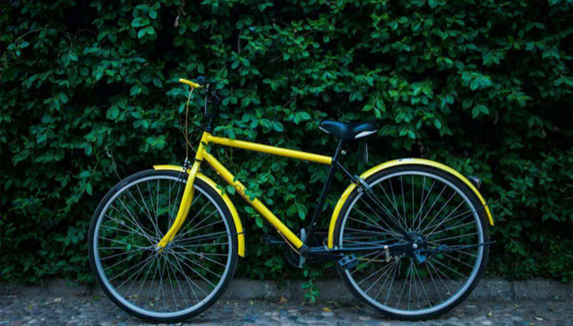 ofo,戴威,摩拜,UberEasts,KOL,金沙江,资本,校园,狼性,京东