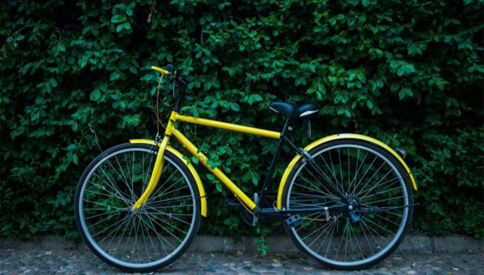 ofo,戴威,摩拜,UberEasts,KOL,金沙江,资本,校园,狼性,京东