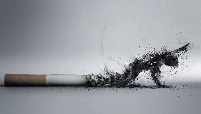 吸烟,经济损失,中国禁烟