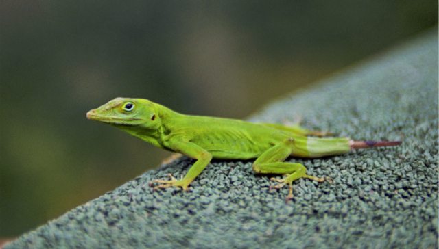 互联网,内容产业,微信,删稿,微信公众号