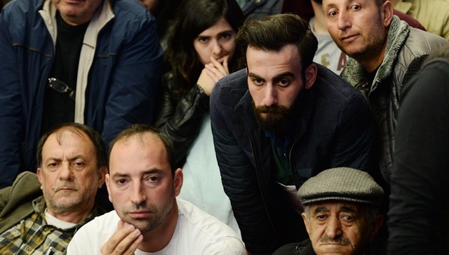 土耳其,公投,德国